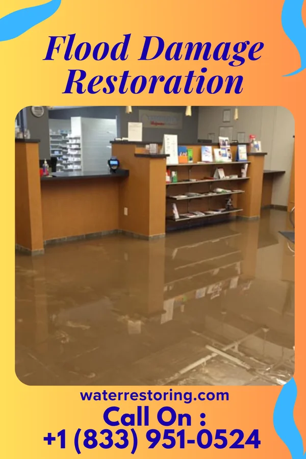 Flood Damage Restoration in Buncombe, IL