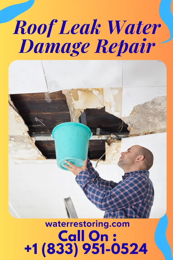 Roof Leak Water Damage Repair in Buncombe, IL