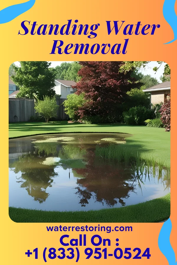 Standing Water Removal in Buncombe, IL